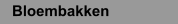 Bloembakken